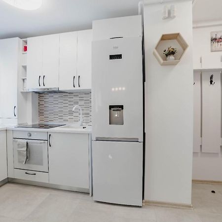 Masterpiece Studio- Free Parking, Wi-Fi, Netflix Braşov Exteriör bild